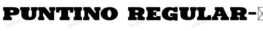 Puntino Regular字体转换